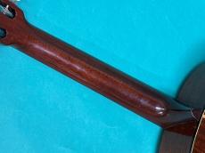 Martin D12-20_9