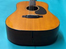 Martin D12-20_11