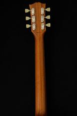 Tokai LS-101S-WA w/Lacquer Finish-Gold Top / GT- #2551658 【カスタムオーダーモデル】_9