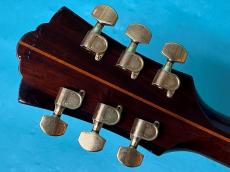 Guild F-50R NT _6