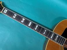 Guild F-50R NT _7