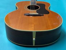 Guild F-50R NT _11