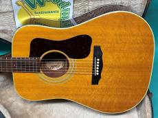 Guild D-40 NT_2