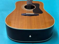 Guild D-40 NT_11