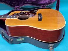 Gibson HUMMINGBIRD NT_4