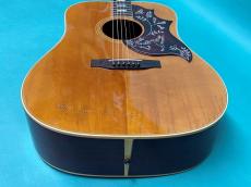 Gibson HUMMINGBIRD NT_11