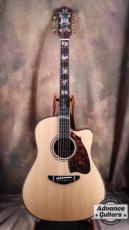 Premium Terry PTJ-100C MS GRAPE “No.3” [Shipping Free〜8/31]_6