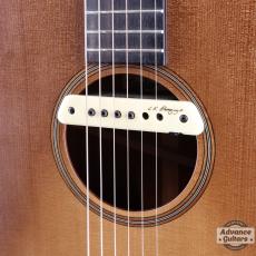 Taylor 2019年製 Builder's Edition 517_17