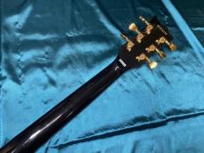GrassRoots G-EC Gloss Vintage Black_9