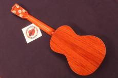 KIWAYA Karin (Quince) Wood Limited Edition Concert Ukulele #5590_7