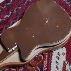 Silvertone 1959 Model 1304_5