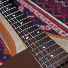 Silvertone 1959 Model 1304_6