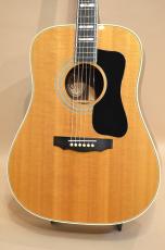 Guild D-55 NT　1977年製_5