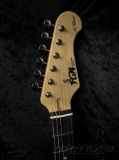 FUJIGEN NTE210RAH 2TS_4