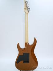 TOM ANDERSON Angel -Tigereye with Binding-【選定フレイムトップ】【当店カスタムオーダー品】_4