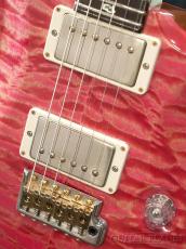 Paul Reed Smith [PRS] Private Stock #5162 Custom 24 Brazilian -Bonnie Pink with White Tiger neck - 2014USED!!_8