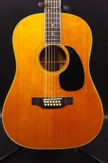 Martin D12-35