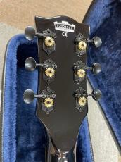 VOX Bobcat V90 with Bigsby_6