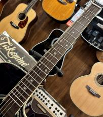 Takamine DMP552C DBS 【次回入荷分ご予約受付中】_5