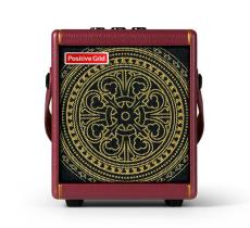 Positive Grid Spark MINI Vai_2