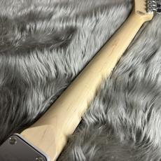 SCHECTER PA-LS/TK  [凛として時雨 TK model]【現物画像】【最大36回分割無金利キャンペーン実施中】_10
