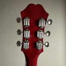 Epiphone ES-339 Pro(modify) 【現物画像】_8