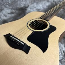 Taylor BT1e【現物画像】_3