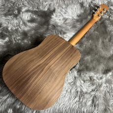 Taylor BT1e【現物画像】_6