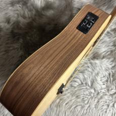 Taylor BT1e【現物画像】_7