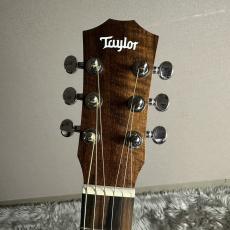 Taylor BT1e【現物画像】_8