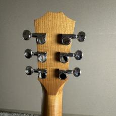 Taylor BT1e【現物画像】_9