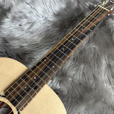 Taylor BT1e【現物画像】_10