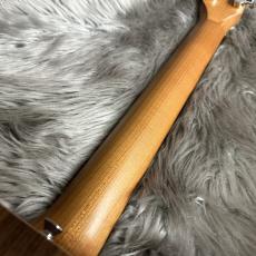 Taylor BT1e【現物画像】_11