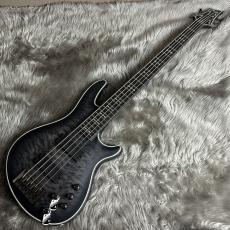 SCHECTER HELLRAISER EXTREME-5 [AD-HR-EX-BASS-5] (STBLS) 【現物画像】_2