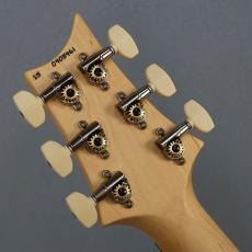 Paul Reed Smith [PRS] Swamp Ash Special Vintage Natural【2025年製】_4