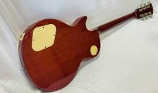 GrassRoots Limited Model G-LP STD_5