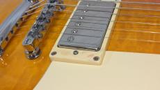 GrassRoots Limited Model G-LP STD_8