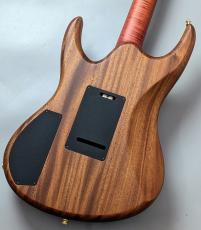 Valenti Guitars Nebula Carved -HAWAIIAN SUNSET- (KS-RUN 2022 #32) 【3.96kg】_6
