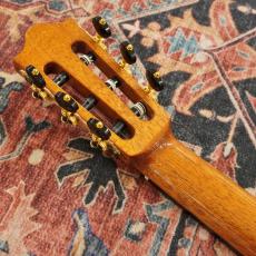 Martinez MP-14 Maple Artist 【アウトレット特価】_7