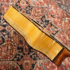 Martinez MP-14 Maple Artist 【アウトレット特価】_10