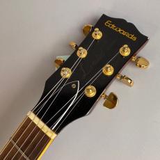 Edwards E-LP-115LTS_4