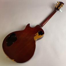 Edwards E-LP-115LTS_6