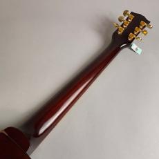 Edwards E-LP-115LTS_7