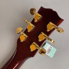 Edwards E-LP-115LTS_8