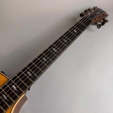 Taylor 814ce V-Class_3