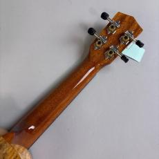 DCT KOKOMO-7_7