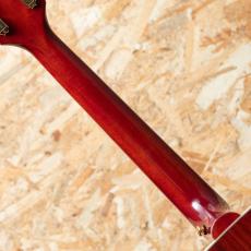 Epiphone Inspired by Gibson Hummingbird Standard_7