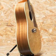 Gibson 1960s J-45 AN_4