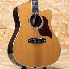 Gibson Songwriter Recording Artist EC AN