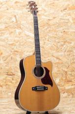Gibson Songwriter Recording Artist EC AN_3